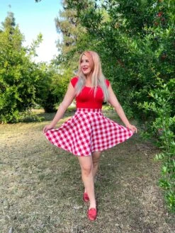 Red Gingham Skater Skirt -Retrolicious 4943 4875 2 9df6115e 6765 48aa bffd 0a77792a6859