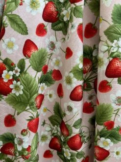 Elizabeth Dress In Strawberries -Retrolicious IMG 5671